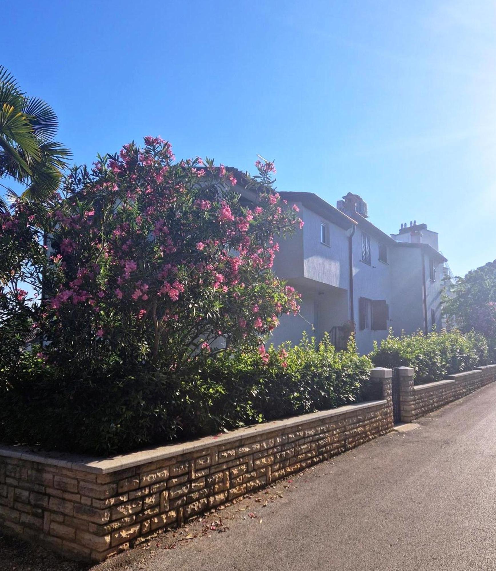 Molo View Apartment Rovinj Eksteriør bilde