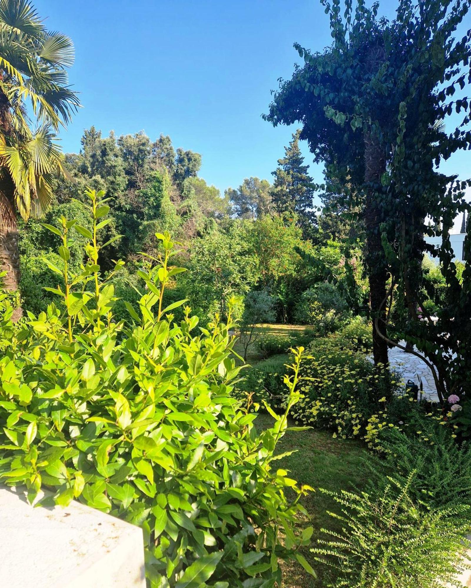 Molo View Apartment Rovinj Eksteriør bilde