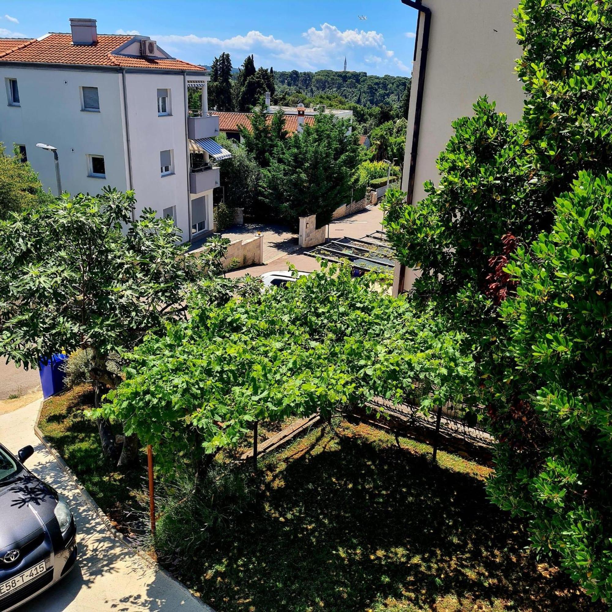 Molo View Apartment Rovinj Eksteriør bilde